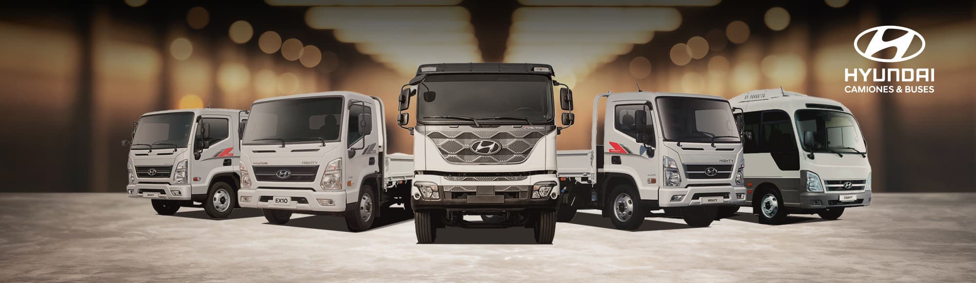 Servicio Técnico Hyundai